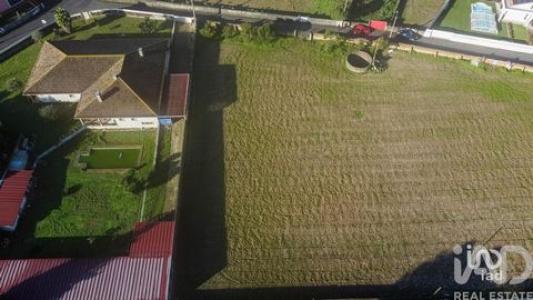 Vente Terrain ESTARREJA 3860