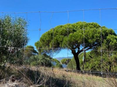Vente Terrain ESTORIL 2765