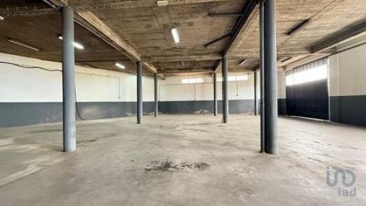 Location Local commercial ESTREITO-CAMARA-DE-LOBOS 9325