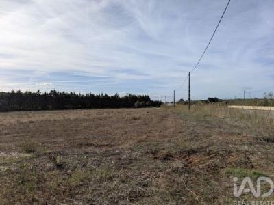 Vente Terrain ESTREMOZ 7100