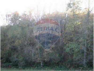 Vente Terrain FAFE 4820