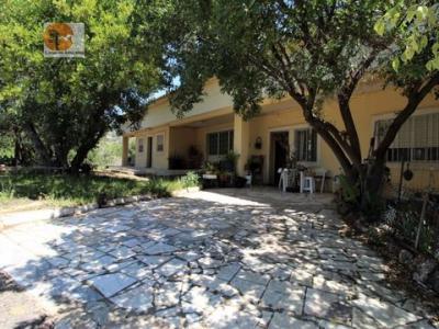 Vente Maison FARO 8000