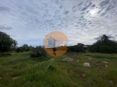 Vente Terrain FARO 8000