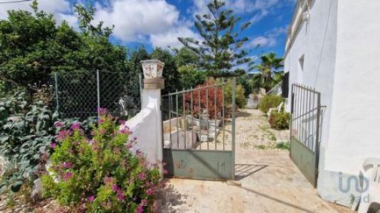 Vente Maison FARO 8005