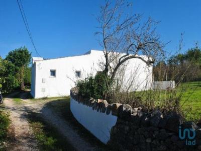 Vente Maison FARO 8005