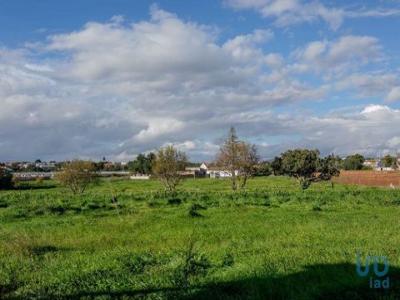 Vente Terrain FARO 8005