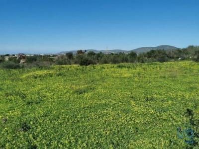 Vente Terrain FARO 8000