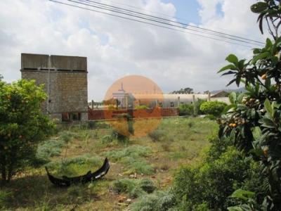 Vente Terrain FARO 8000