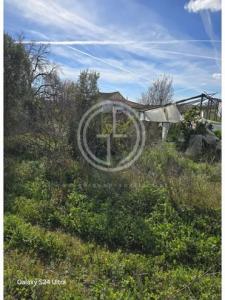 Vente Terrain FARO 8000