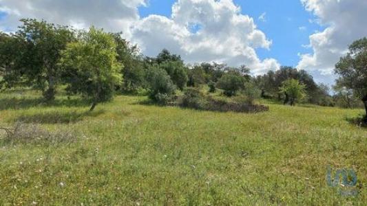 Vente Terrain FARO 8005