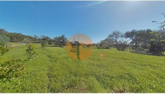 Vente Terrain FARO 8000
