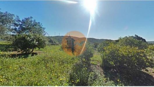 Vente Terrain FARO 8000