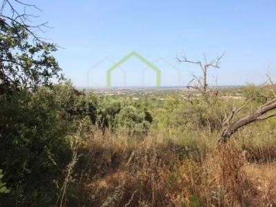 Vente Terrain FARO 8000