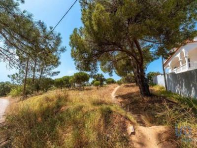 Vente Terrain FARO 8000