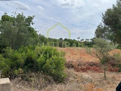 Vente Terrain FARO 8000