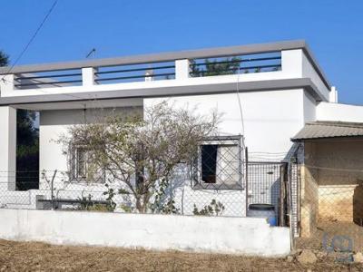 Vente Maison 3 pices FARO 8005
