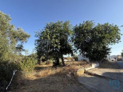 Vente Terrain FARO 8005