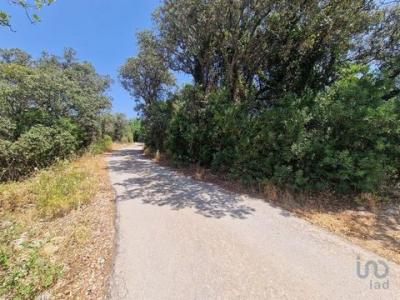 Vente Terrain FARO 8005