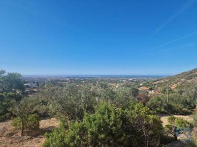 Vente Local commercial FARO 8000