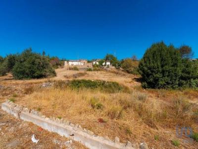 Vente Maison FARO 8005