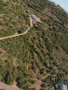 Vente Terrain FARO 8000