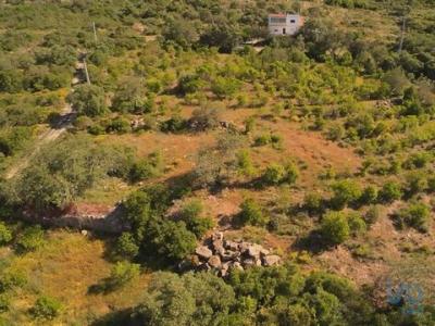 Vente Terrain FARO 8005