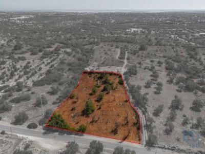 Vente Terrain FARO 8000