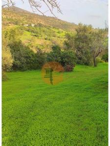 Vente Maison FARO 8005