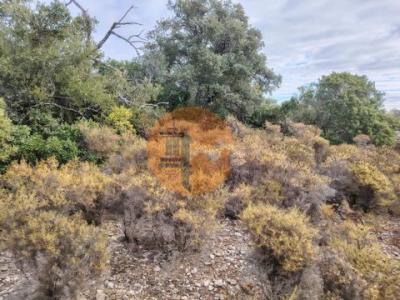 Vente Terrain FARO 8000