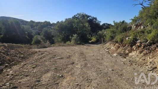 Vente Terrain FARO 8000