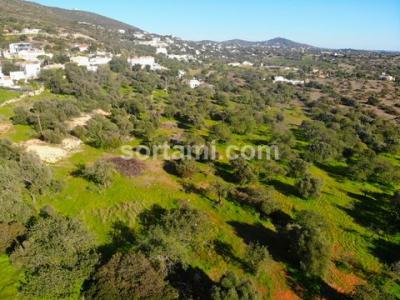 Vente Terrain FARO 8000