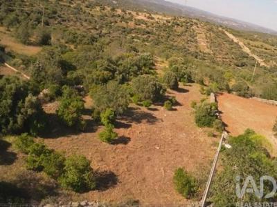 Vente Terrain FARO 8000