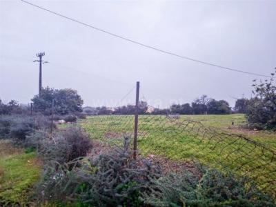 Vente Terrain FARO 8000