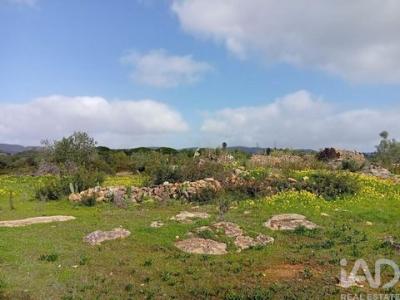 Vente Terrain FARO 8000