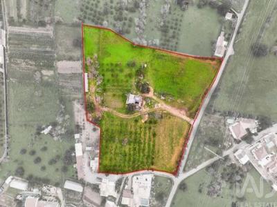 Vente Maison FARO 8000