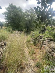 Vente Terrain FARO 8000