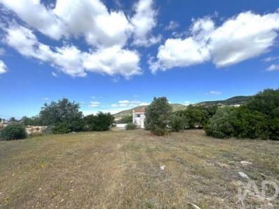 Vente Terrain FARO 8000