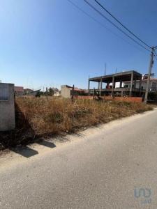 Vente Terrain FERNAO-FERRO 2865