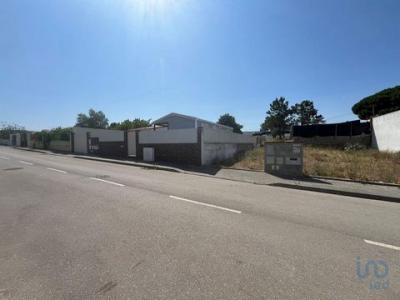 Vente Terrain FERNAO-FERRO 2865