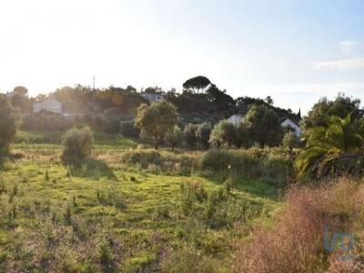 Vente Terrain FERREIRA-DO-ZEZERE 2240