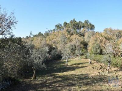 Vente Terrain FERREIRA-DO-ZEZERE 2240