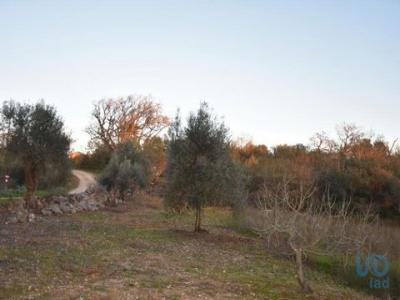 Vente Terrain FERREIRA-DO-ZEZERE 2240