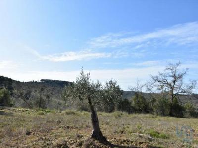 Vente Terrain FERREIRA-DO-ZEZERE 2240