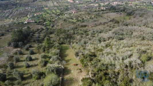 Vente Terrain FERREIRA-DO-ZEZERE 2240