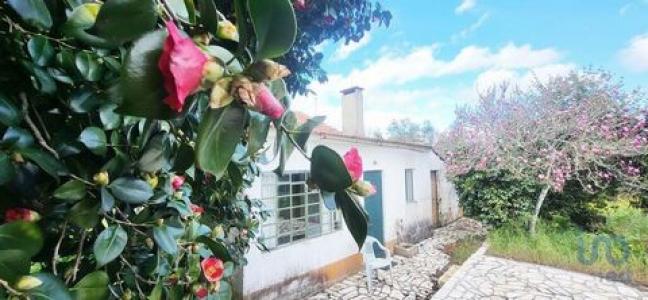 Vente Maison 6 pices FERREIRA-DO-ZEZERE 2240