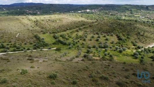 Vente Terrain FERREIRA-DO-ZEZERE 2240