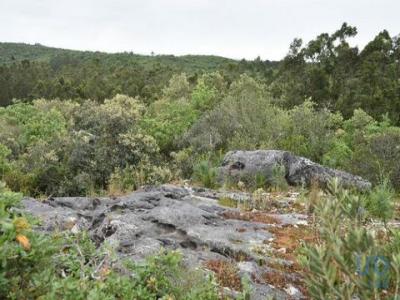 Vente Terrain FERREIRA-DO-ZEZERE 2240