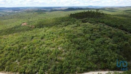 Vente Terrain FERREIRA-DO-ZEZERE 2240