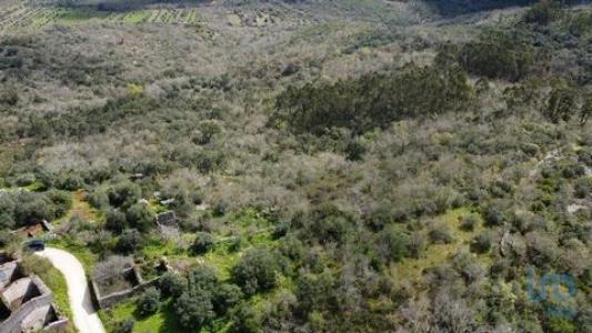 Vente Terrain FERREIRA-DO-ZEZERE 2240