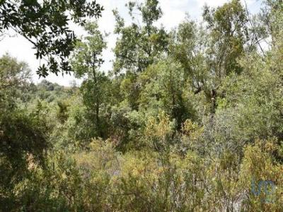 Vente Terrain FERREIRA-DO-ZEZERE 2240